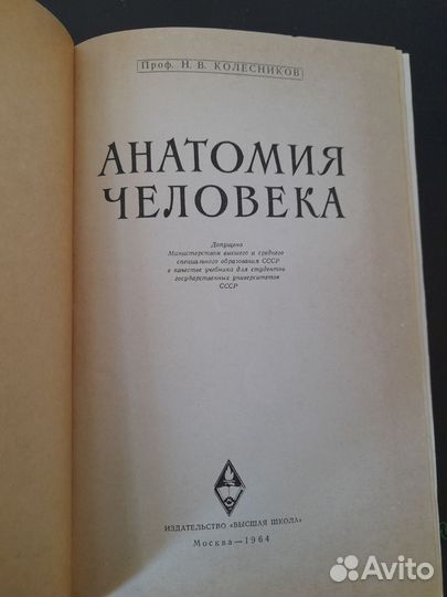 Анатомия
