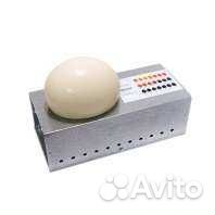 Яйцо инкубационное бройлер,перепел,утка,цесарка