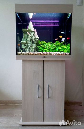 Аквариум 100л с тумбой, внеш.фильтром и декором