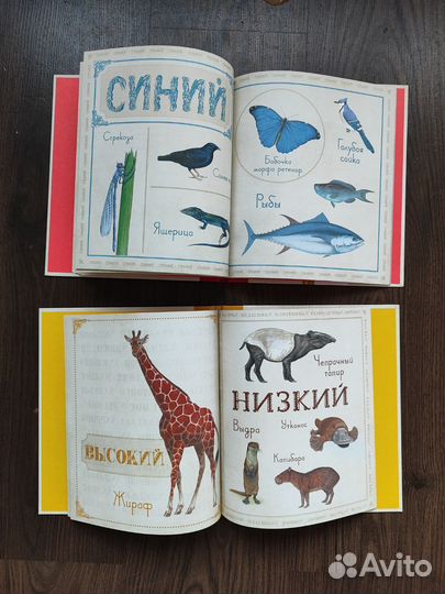 Книги новые (комплект), цена за 4