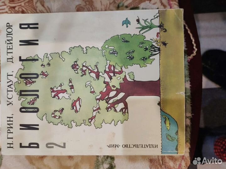 Биология грин стаут тейлор