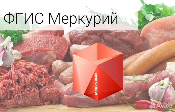 Ветис / Меркурий хс / всд