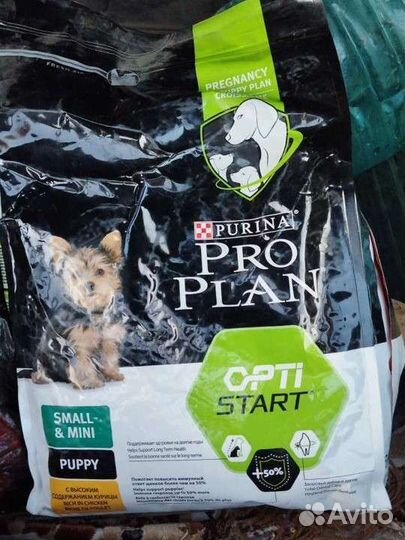 Сухой корм для собак