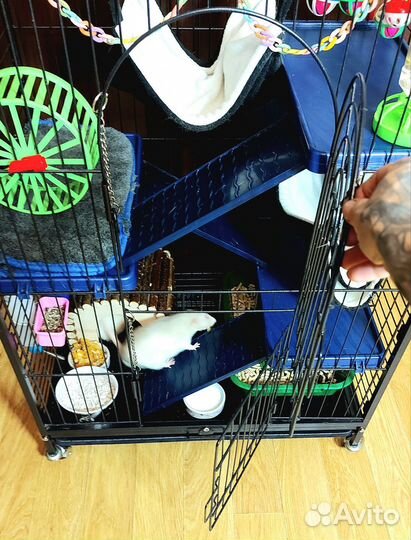 Клетка для грызунов, шиншил