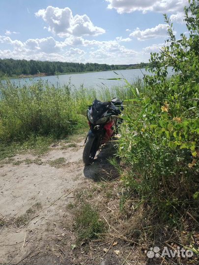 Falcon speedfire 250