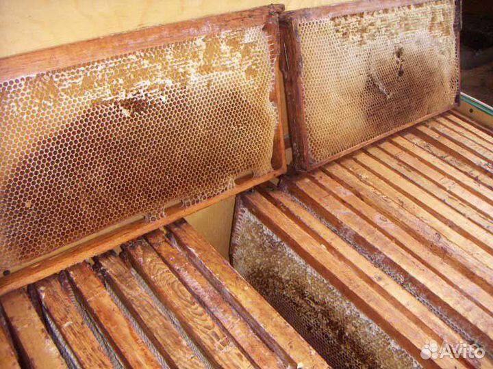 Сушь в рамках