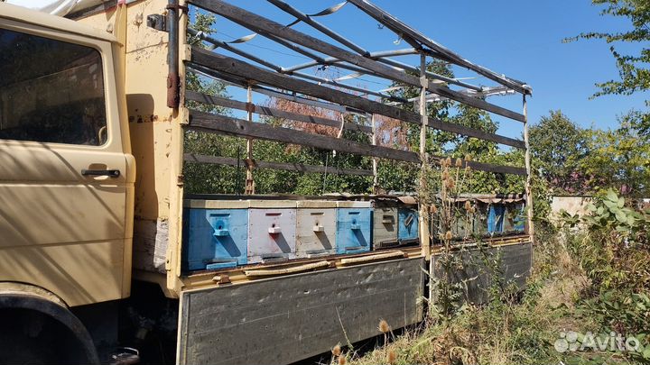 Mercedes-Benz 814, 1981