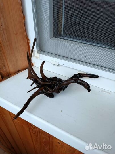 Коряги для аквариума