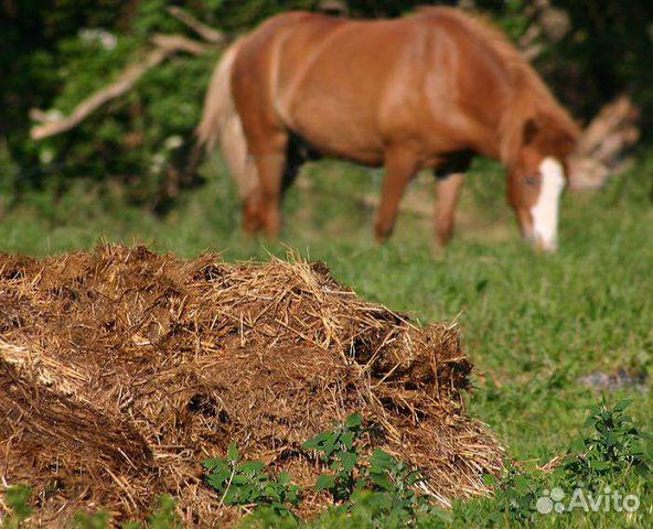 Конский навоз самовывоз