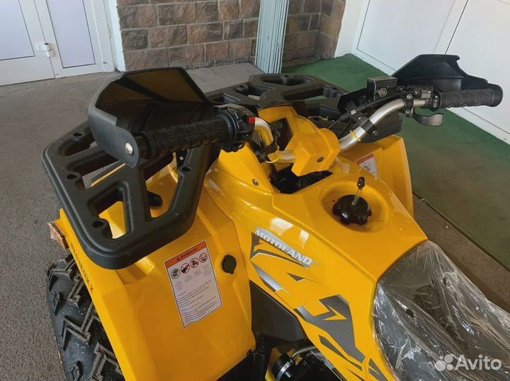 Квадроцикл motoland ATV 200 wild track X