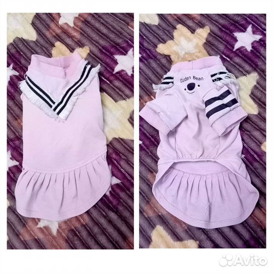 Одежда для маленьких собак