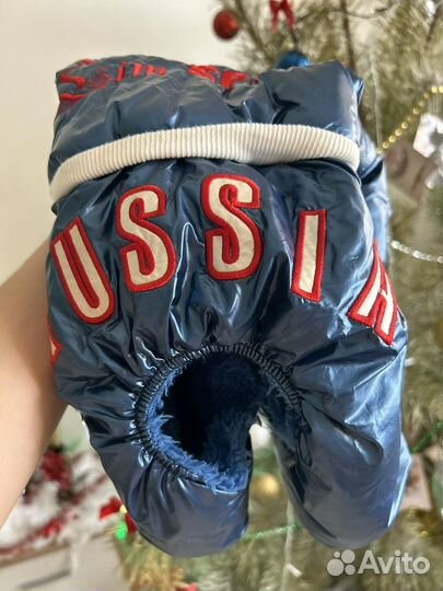 Одежда доя собак