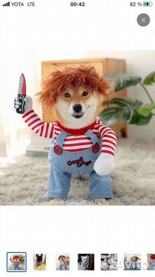 Смешные костюмы для собак