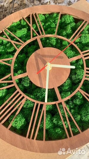 Часы со стабилизированным мхом