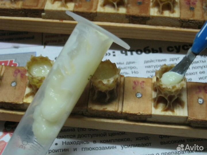 Маточное молочко (нативное)