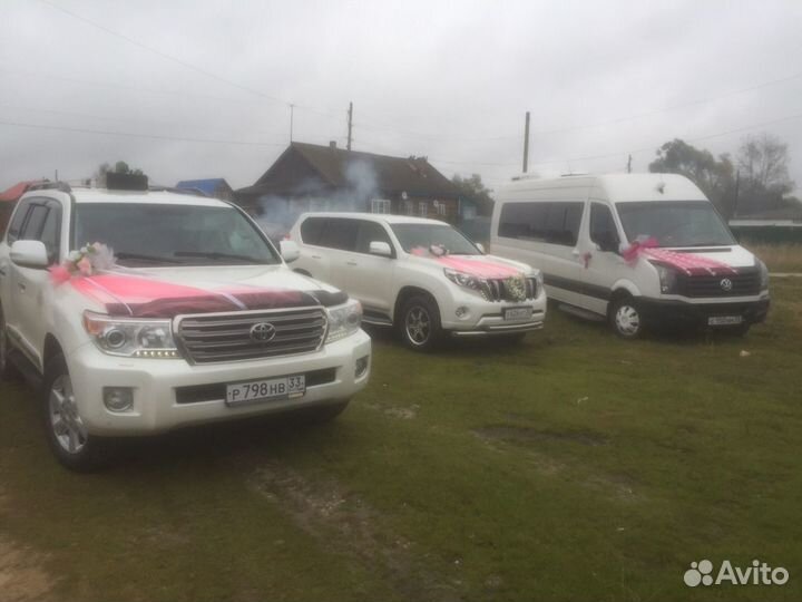 Аренда микроавтобуса VIP Класса, пассажирские пере