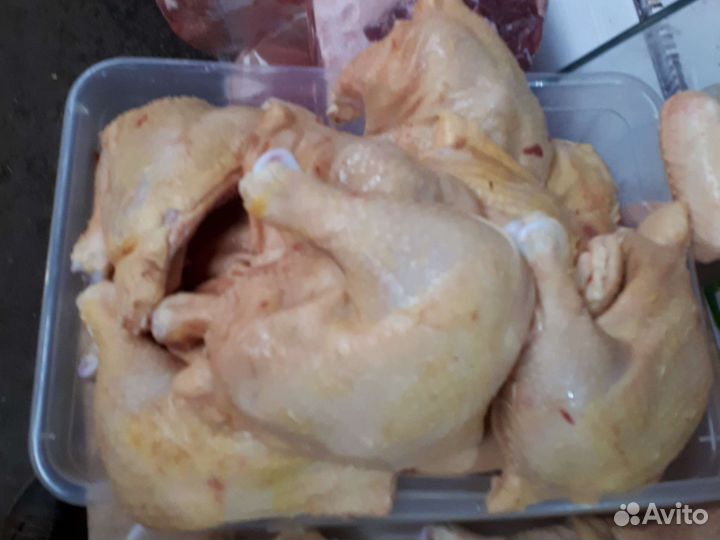 Куры бройлеры тушки мясо