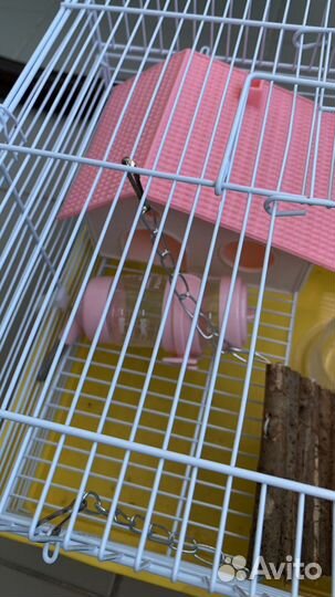 Клетка для грызунов с наполнителем