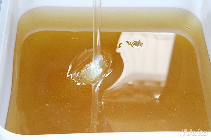 Свежий донниковый мёд 2023 г. опт