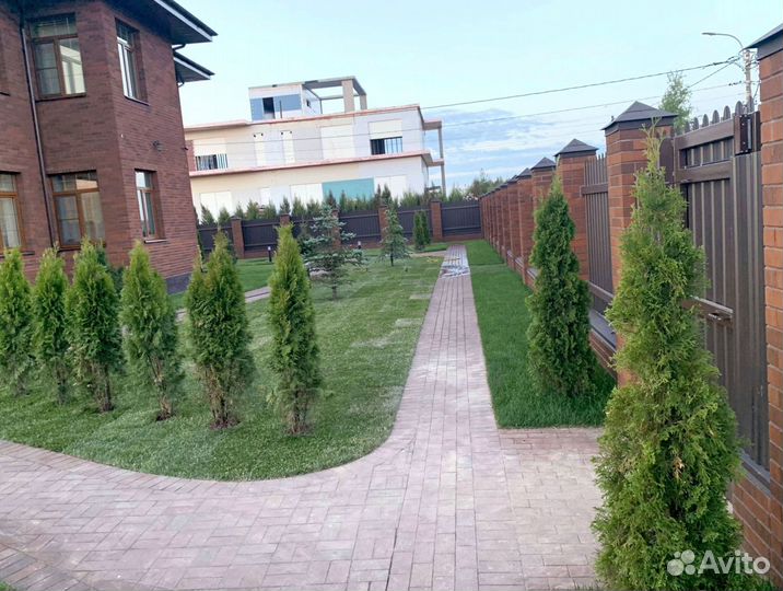 Рулонный газон