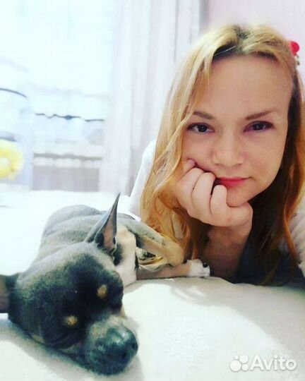 Передержка домашних животных