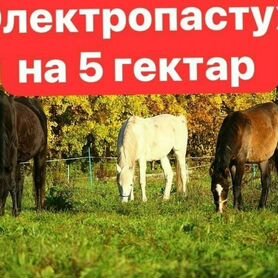 Электропастух комплект на 5га