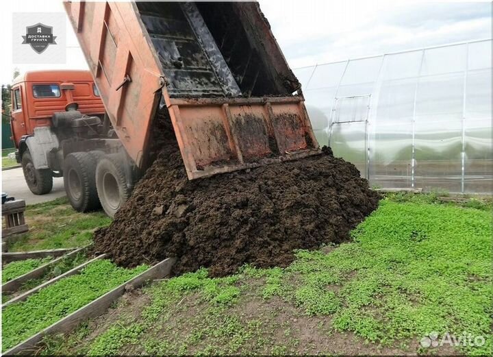 Конский навоз