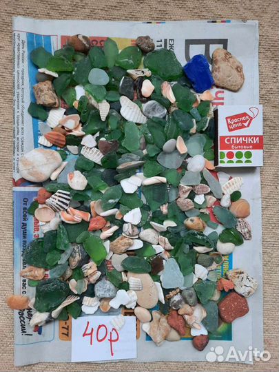 Ракушки разные