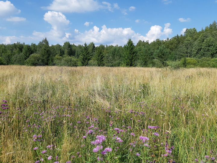 Участок 1,8 га (СНТ, ДНП)