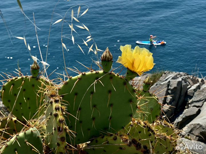 Путешествие