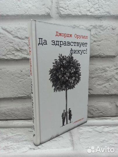 Да здравствует фикус