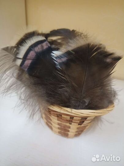 Индюшиные перья