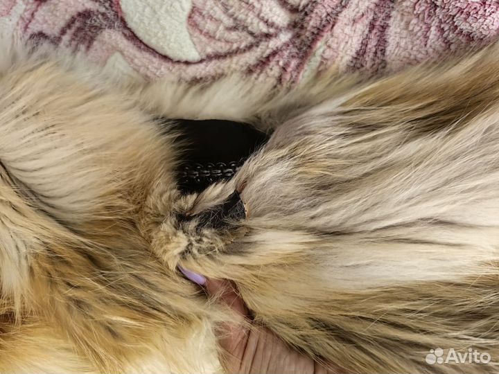 Жилет из лисы