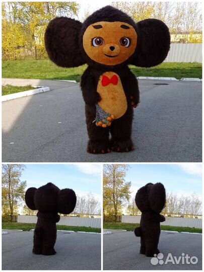 Поздравление от Чебурашки, тамада