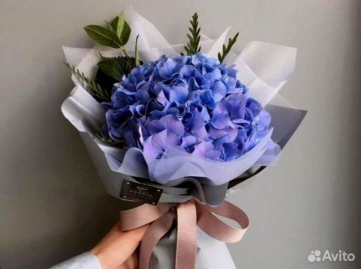 Букет из 53 гортензий