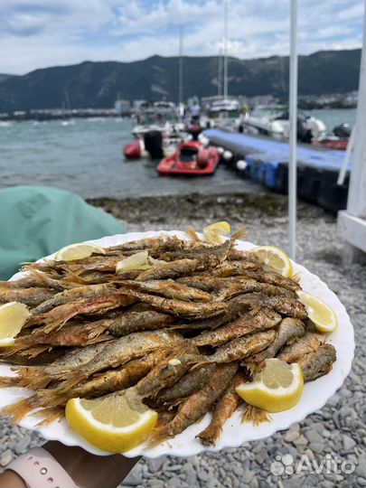 Рыбалка в море