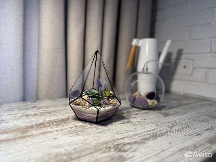 Флорариум из суккулентов