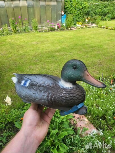 Утки подсадные для охоты