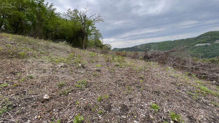 Участок 4,3 сот. (СНТ, ДНП)