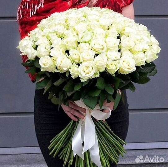 Высокие розы