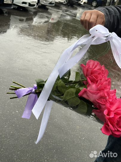 Французская роза в прозрачной сумочке Новинка