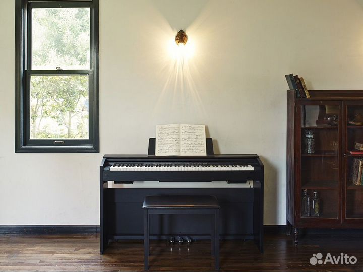 Цифровое пианино Casio Privia PX-870 (Комплект)