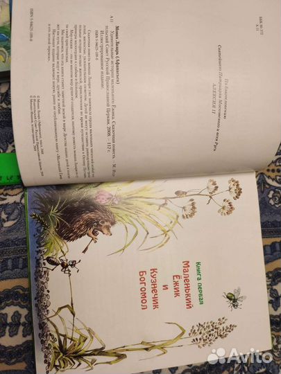 Удивительные истории маленького ёжика