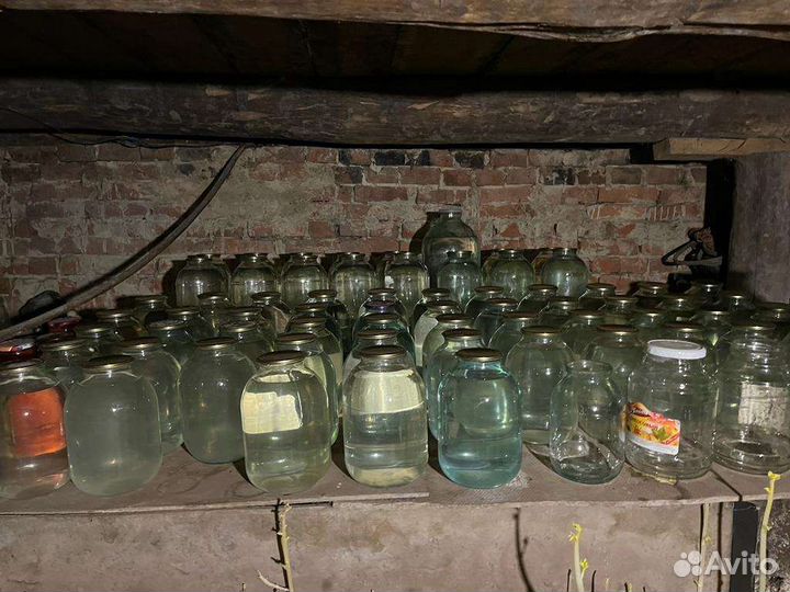 Березовый сок