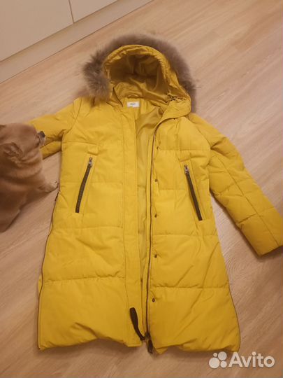 Пуховик Colins