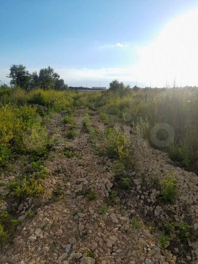Участок 5,2 сот. (СНТ, ДНП)