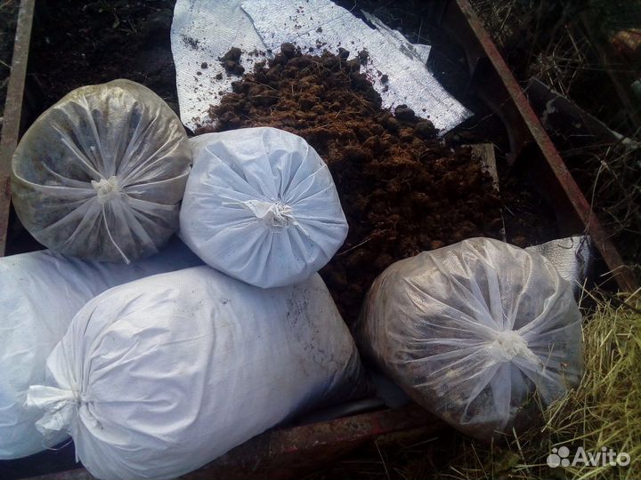 Конский перегной доставка