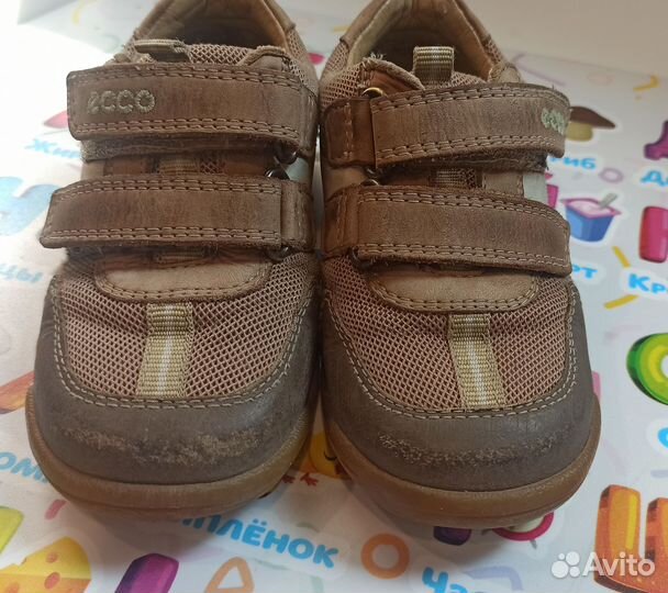 Кроссовки ecco р. 24