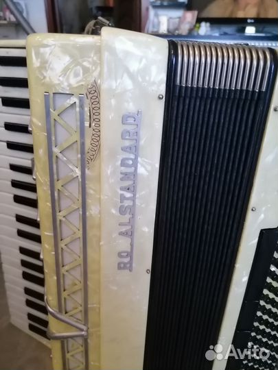 Аккордеон royal standard montana