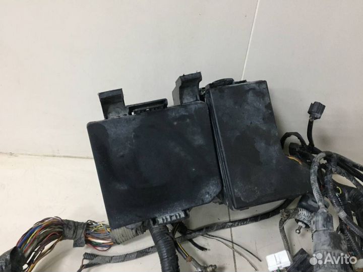 Б/У Проводка (коса) 24012JD15B, 24012JD18E nissan